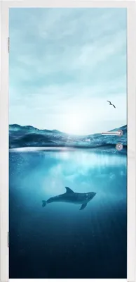Produktbild von MuchoWow® Türtapete Selbstklebende Türfolie Delfin - Meer - Vogel 80x205 cm Türposter Türaufkleber Klebefolie Türklebefolie - Fototapete - XXL-Aufklebern
