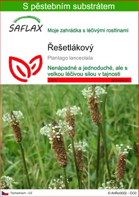 Obrázek produktu pro SAFLAX - řešetlákový - Plantago lanceolata - 100 Semena - S pěstebním substrátem bez klíčků