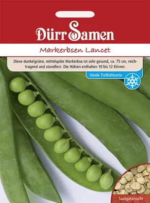 Produktbild von Dürr-Samen - Markerbsen Lancet - Saatgut - 0306