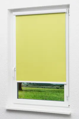 Produktbild von Lysel Outlet - Kassettenrollo abdunkelnd Apfelgrün, (B x H) 70cm x 175cm in grün/apfelgrün