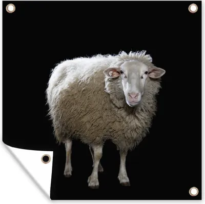 Produktbild von MuchoWow® 100x100 cm Outdoor-Poster Gartendeko Sichtschutz Garten Poster für den Garten  Schafe - Nutztiere - Schwarz