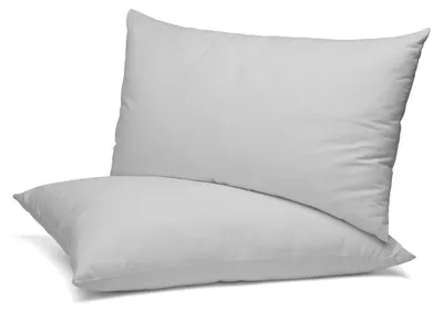 Immagine prodotto di Beautex, set da 2 federe, federe in cotone, jersey premium 160 g/m², grigio chiaro, 40x60 cm