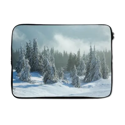 Produktbild von MuchoWow® Laptop Hülle 14 ZollWald - Schnee - Winter Laptoptasche - Laptoptasche - Stoßsicher - Schutzhaube