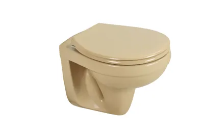 Produktbild von sanicomfort Wand-WC beige spülrandlos, Tiefspüler mit WC-Sitz mit Absenkautomatik