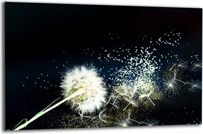 Produktbild von Herdabdeckplatte Glaskeramikkochfeld-Abdeckung Spritzschutz Glas 80x52 Blume