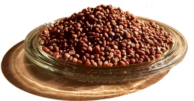 Produktbild von LanDixx Ölrettich 1 kg Saatgut Gründüngung Bienenweide gegen Nematoden