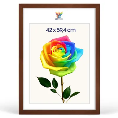 Produktbild von MG Design Bilderrahmen Braun A2 42x59,4 cm - Posterrahmen Echtholz mit Acrylglas, stabile Wandaufhängung, hoch/quer