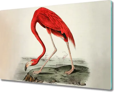 Produktbild von Glas Schneidebrett Herdabdeckplatten Schneideplatten - 80x52 cm - Flamingo Vintage