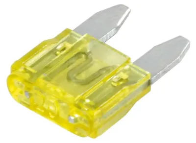 Obrázok produktu pre Poistky Lampa 100 kusov 12/32V 20A