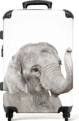 Produktbild von NoBoringSuitcases.com® Großer Koffer - Elefant - Tiere - Grau - Natur - Kombinationsschloss TSA - Hartschalen Trolley 4 Rollen - 72 liter - Reisekoffer - 66 cmKoffer Mittelgroß 67x43x25 cm, 72L,