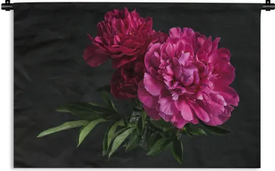 Produktbild von MuchoWow® Wandteppich Wandbehang Pfingstrosen - Stilleben - Rosa 60x40 cm Tapisserie Dekoration Wandtuch - Wanddekorationen