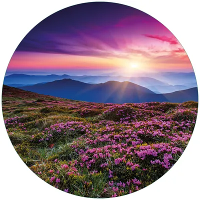 Produktbild von Wallario Premium Glasbild, freischwebende Optik, kräftige Farben, rund 50cm Durchmesser, Motiv Blumenbedeckte Wiese bei Sonnenuntergang