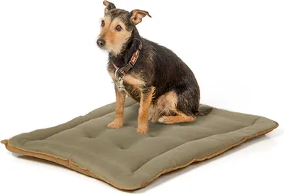Produktbild von gepolsterte Wendedecke 75 x 55 cm,  braun oliv  bei 95°C waschbar für Hunde