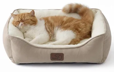 Produktbild von Katzenbett waschbar 51x41cm Kamel