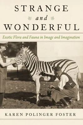 Produktbild von Strange and Wonderful