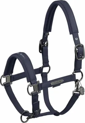 Obrázek produktu pro Eskadron Ohlávka pro koně Double Pin Faux Leather atlantic blue Platinum 2024, Velikost:P1