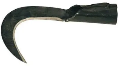 Image de Sécateur à lame de 22 cm