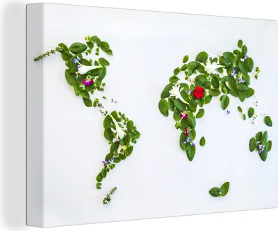Obrázek produktu pro OneMillionCanvasses® - Obraz na plátně - 140x90 cm, Mapa světa - Květiny - Barvy, Nástěnná umělecká dekorace - Fotografie na plátně - Obraz na dřevěném rámu