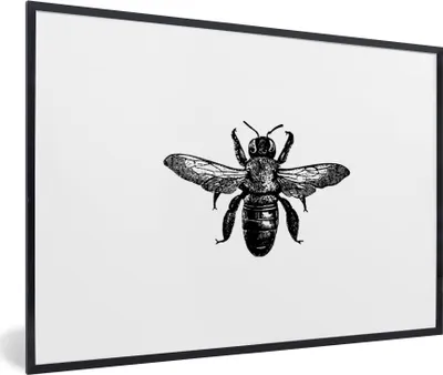 Produktbild von MuchoWow® Gerahmtes Poster Biene - Insekt - Vintage - Schwarz und weiß 90x60 cm - Poster mit Schwarzem Bilderrahmen Wandposter Rahmen Foto Bilder - Fotorahmen - Foto-Plakat
