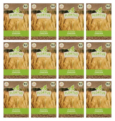 Produktbild von Einkorn | Getreidesamen von FLORTUS, Menge:900 g