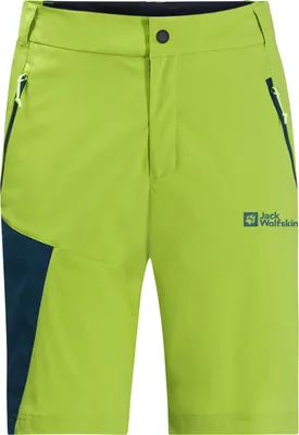 Produktbild von JACK WOLFSKIN Glastal Shorts Herren grün 50