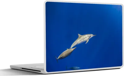 Produktbild von MuchoWow® Laptop Aufkleber Sticker Cover Delfin - Tier - Meer 40x30 cm - Laptop Dekoration - Selbstklebend