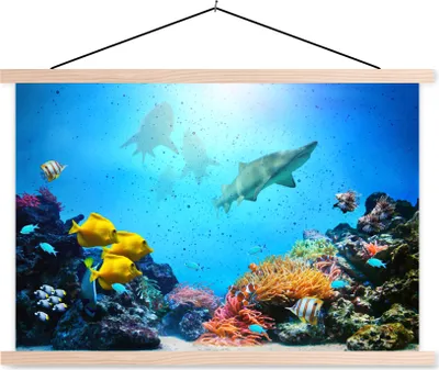 Produktbild von MuchoWow® Textilposter Meer - Fische - Korallen 60x40 cm mit holzfarbenen Rahmen - Bilder