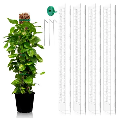 Produktbild von Monstera Rankhilfe 4 Stück 60 cm Moosstab Set für Zimmerpflanzen aus Kunststoff Erweiterbar
