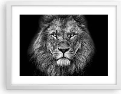 Produktbild von Gerahmtes Poster - Weißer Rahmen - Porträt Löwe Schwarzweiß - 40x30 cm - Wand Bild - Wanddeko - Wandbilder - Kunstposter - Wandposter - Bilderrahmen - Bilder - Kunstdruck - P2WAA40x30-4494