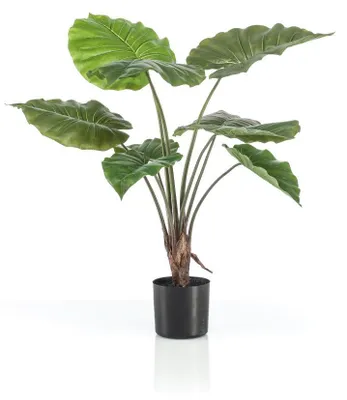 Produktbild von Warentuin Produkt