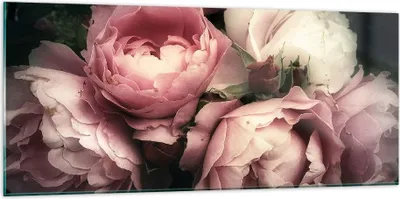 Produktbild von Bilder auf glas - Pfingstrose Blume - 120x50cm - Glasbilder - Wandbilder - Kunstdruck - zum Aufhängen bereit - Wanddekoration aus Glas - Glas Bilder - Wandbild auf Glas - Einteilig - GAB120x50-3930