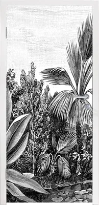 Obrázek produktu pro MuchoWow® Plakát na dveře - Rostliny - Příroda - Design - Ilustrace - Ernst Haeckel - 215x85 cm - Samolepicí fólie na dveře