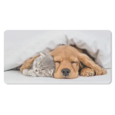 Produktbild von MuchoWow® Mauspad Mousepad Haustiere - Hund - Katze - Decke 60x30 cm - Mousepads - Maus Mat - Pad - Mausunterlage - Nachhaltig