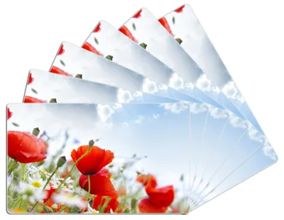 Produktbild von Wallario Frühstücksbrettchen 6er Set aus Glas, je 14 x 23 cm, mit rutschfesten Füßen, Motiv Mohnblumen unter blauem Himmel