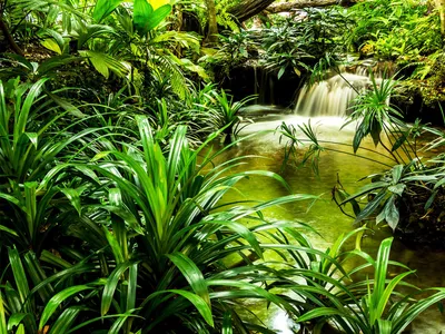 Image de Sanders & Sanders papier peint panoramique cascade vert 375 x 270 cm