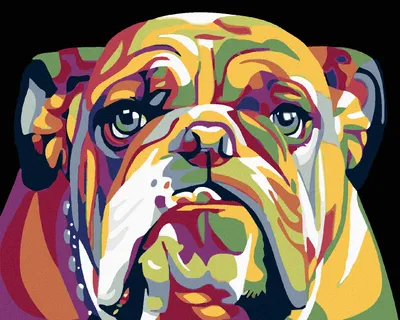 Image de Zuty - Peinture par numéros - BULDOG, 40 x 50 cm, toile tendue sur châssis