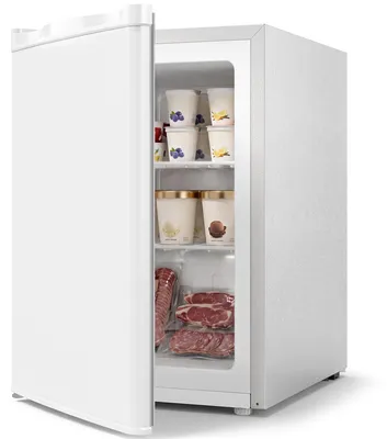 Produktbild von HOMCOM Mini Gefrierschrank 59 L Gefrierbox bis -18℃ mit Wechselbarem Türanschlag