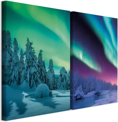 Produktbild von murando - Akustikbild Bilder XL Set Winterlandschaft Kunstdruck auf Leinwandbild 80x60cm 2 Teilig je 40x60cm Collage 2er Kunst Wandpaneele Schalldämmung Leinwandbilder - Schnee c-B-10269-b-a