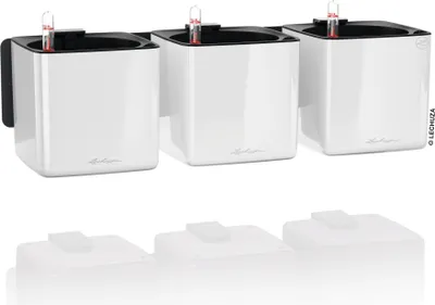 Obrázok produktu pre Kashpa 14X14Cm 3Ks S Napajacím Systémom Lechuza Wall Home Kit Glossy