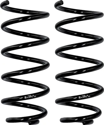 Productafbeelding van Set ophangingsveren voor de achteras, diameter 9,5 mm, merk EIBACH, geschikt voor onder andere de SMART CITY-COUPE