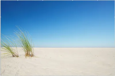 Produktbild von Wallario Wandbild Sandstrand unter blauem Himmel, Größe: 61 x 91,5 cm, Poster mit rahmenlosen Bildhalter