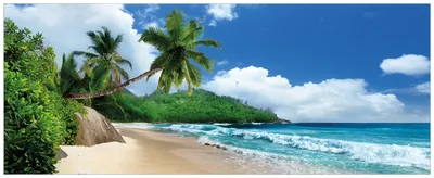 Produktbild von Wallario Wandbild aus Acryl, 200 x 80 cm, freischwebende Optik - Urlaub auf den Seychellen unter Palmen am Sandstrand