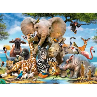 Obrázek produktu pro Ravensburger African Friends, 300 kus, Zvata, 9 rok/roky