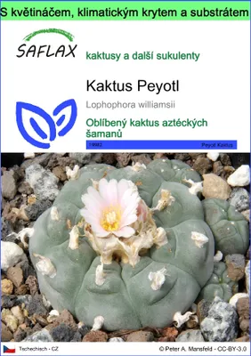 Obrázek produktu pro SAFLAX Garden to go - Kaktus Peyotl - Lophophora williamsii - 20 Semena - S květináčem, klimatickou poklicí a pěstebním substrátem