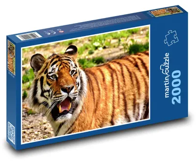 Obrázok produktu pre Puzzle 2000 Tiger v divočine - martinpuzzle