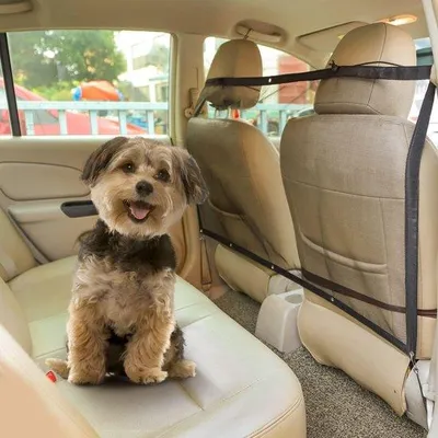 Produktbild von Famanu Hundegitter für Kofferraum - universell - 115 x 62 cm - langlebiges Material - sicheres Reisen für Hunde