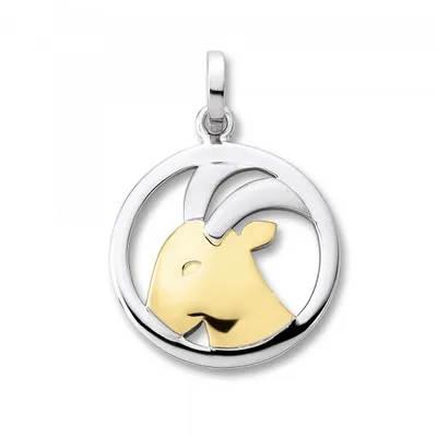 Produktbild von Anhänger Sternzeichen Steinbock 925/- Silber rhodiniert / teil- vergoldet gelb