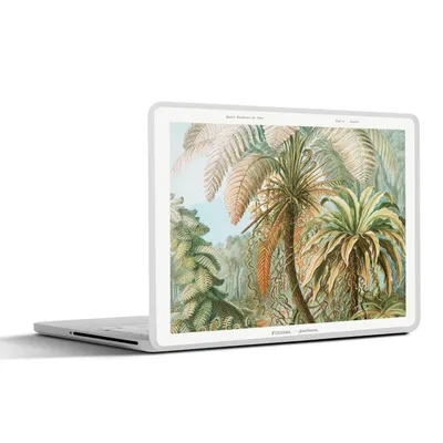 Produktbild von MuchoWow® Laptop Aufkleber Sticker Cover Vintage - Alte Meister - Farne - Pflanzen - Natur 30x22 cm - Laptop-Sticker