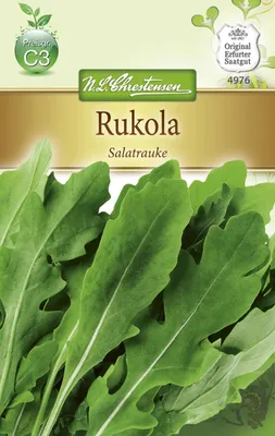 Produktbild von Rukola Salatrauke | Rucolasamen von N.L. Chrestensen