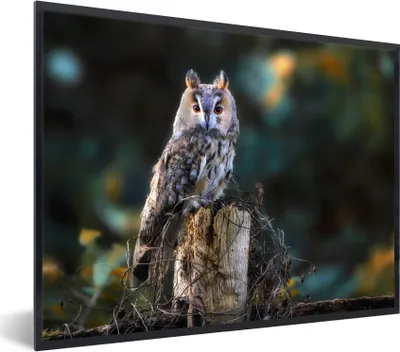 Produktbild von MuchoWow® Gerahmtes Poster Eule - Herbst - Vogel - Äste 80x60 cm - Poster mit Schwarzem Bilderrahmen Wandposter Rahmen Foto Bilder - Schwarzem - Mit Gestell